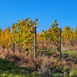 Herbstwanderung Oktober 2021