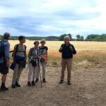 Aarbergen-Burg Hohenstein