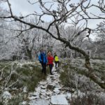 Traditionelle Wanderung zum Feldberg