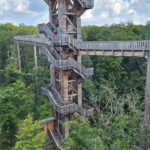 Über den Wipfeln des Taunus