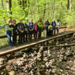 Holzbachschlucht