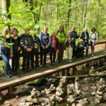 Holzbachschlucht