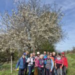 Blütenweg Heppenheim