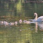 Möttauer Weiher, Bermbach, Burg Philippstein und `Guck ins Loch´
