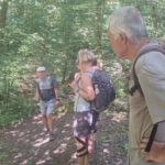 Rundwanderung durchs Jammertal entlang des Dörsbachs
